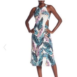 NWT Tart Chocolate Bon Bon Midi Dress Palm